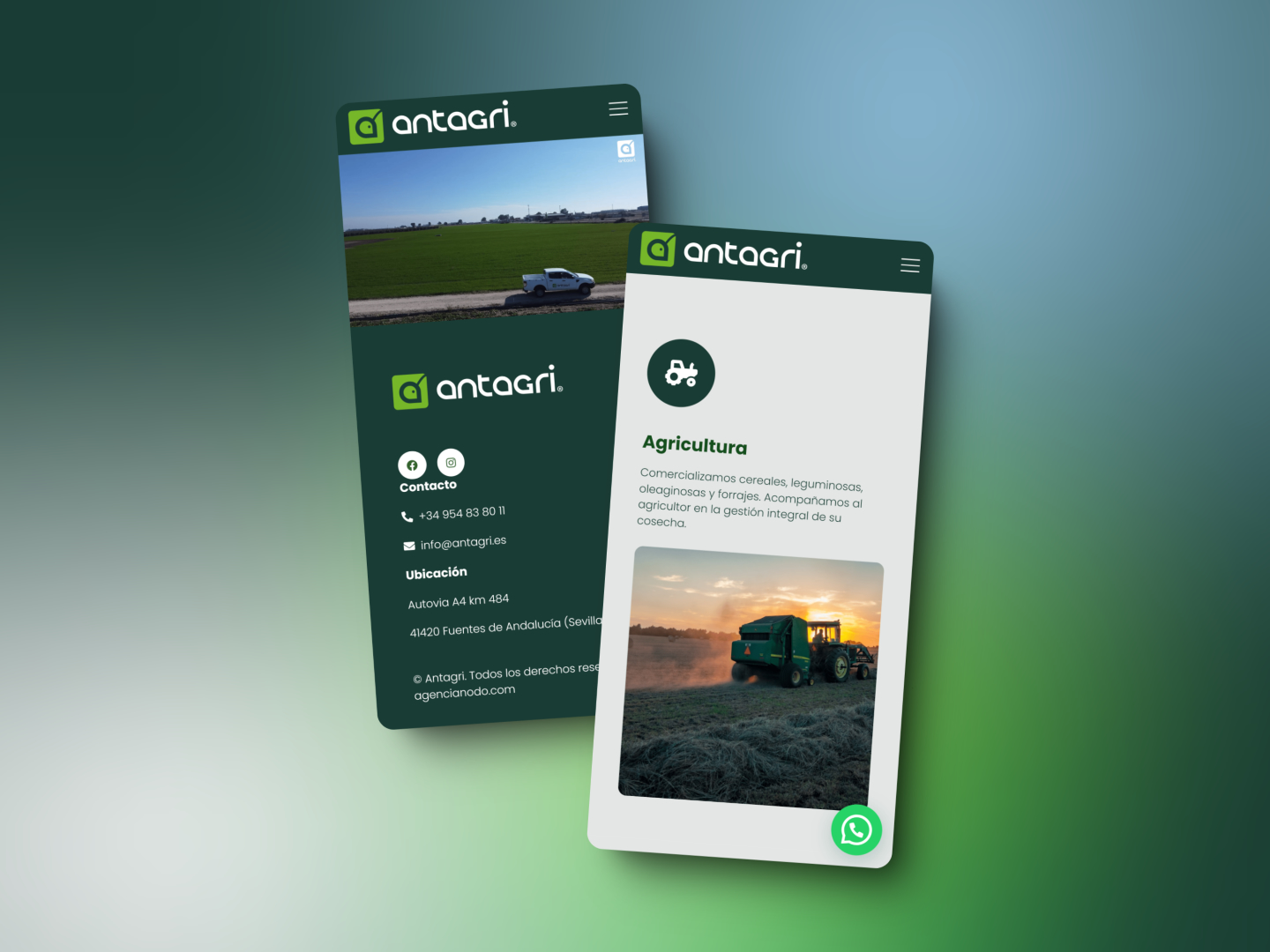 Diseño web para Antagri